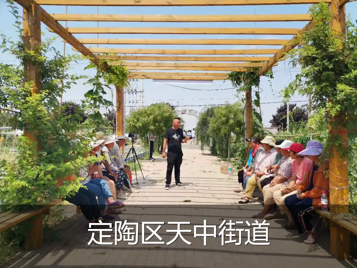 定陶区天中街道