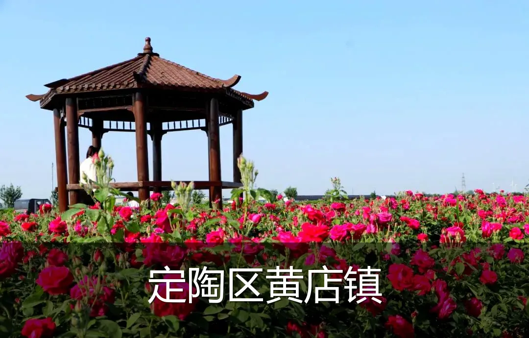 定陶区黄店镇